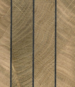 End Grain Oak Stripes