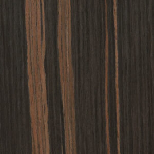 RECONSTITUTED PAIRED EBONY 211